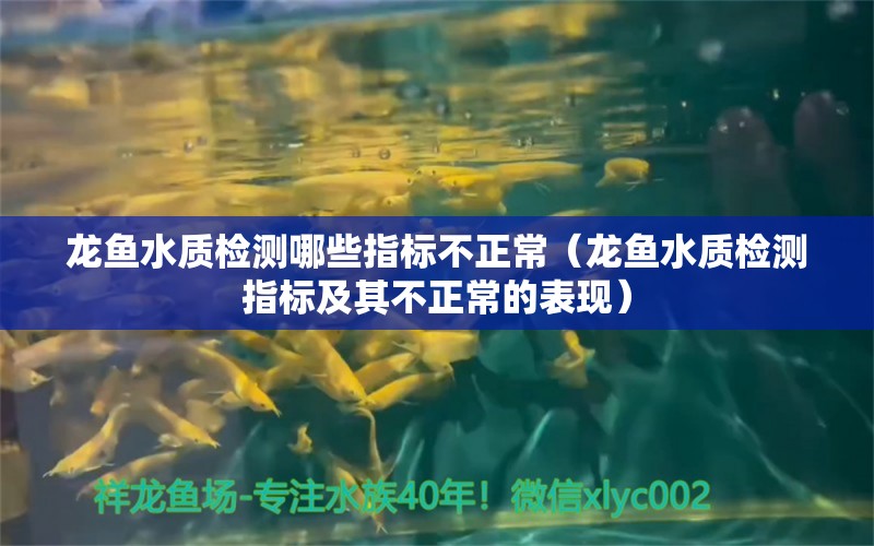 龙鱼水质检测哪些指标不正常（龙鱼水质检测指标及其不正常的表现） 水族问答 第1张