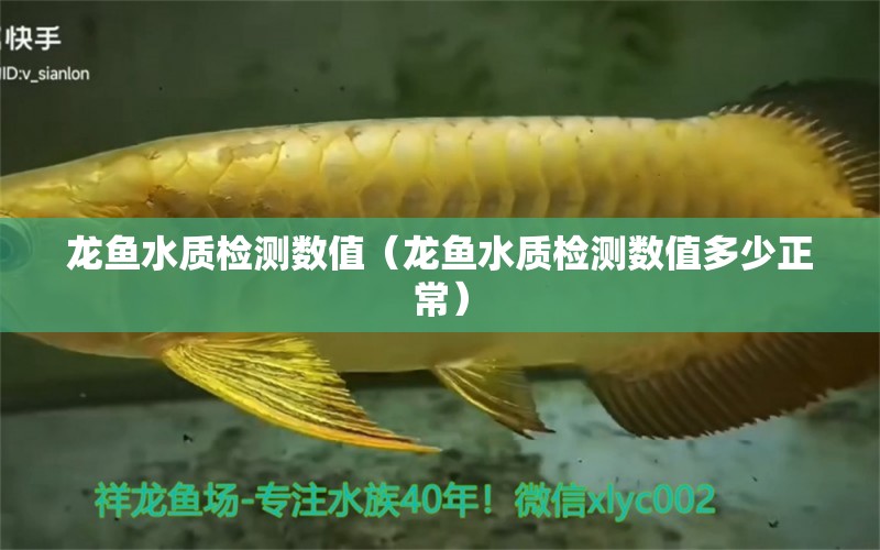 龙鱼水质检测数值（龙鱼水质检测数值多少正常） 祥龙水族医院