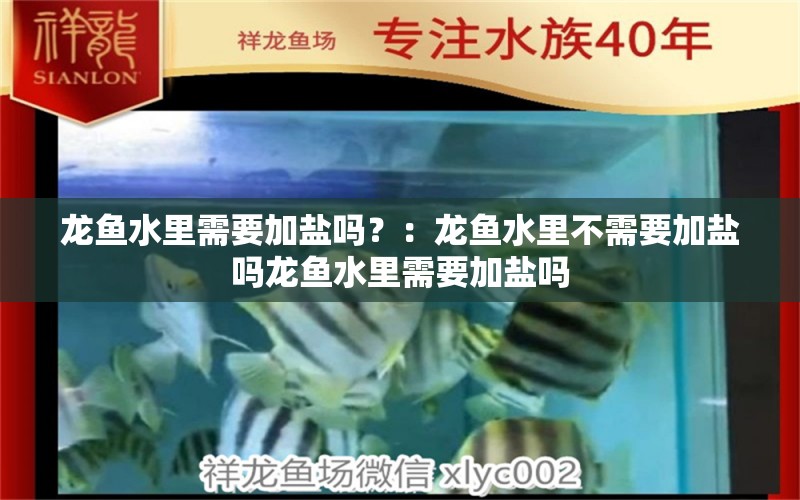 龙鱼水里需要加盐吗？：龙鱼水里不需要加盐吗龙鱼水里需要加盐吗