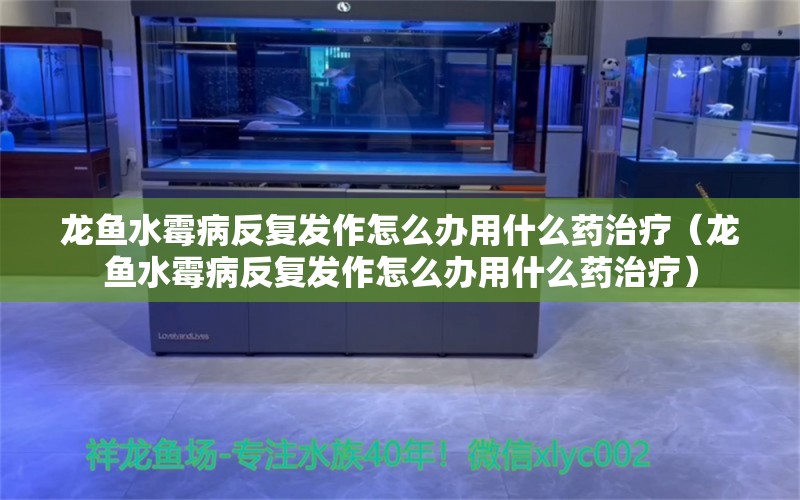 龙鱼水霉病反复发作怎么办用什么药治疗（龙鱼水霉病反复发作怎么办用什么药治疗）