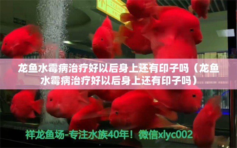 龙鱼水霉病治疗好以后身上还有印子吗（龙鱼水霉病治疗好以后身上还有印子吗）