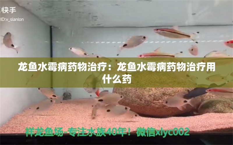 龙鱼水霉病药物治疗：龙鱼水霉病药物治疗用什么药