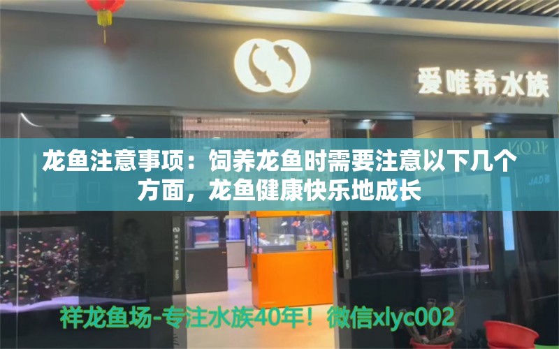 龙鱼注意事项：饲养龙鱼时需要注意以下几个方面，龙鱼健康快乐地成长