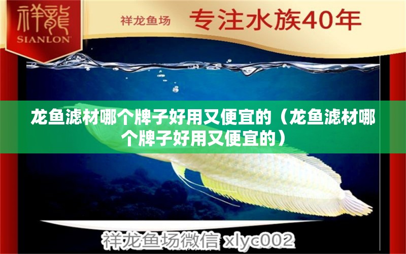 龙鱼滤材哪个牌子好用又便宜的（龙鱼滤材哪个牌子好用又便宜的） 广州观赏鱼批发市场