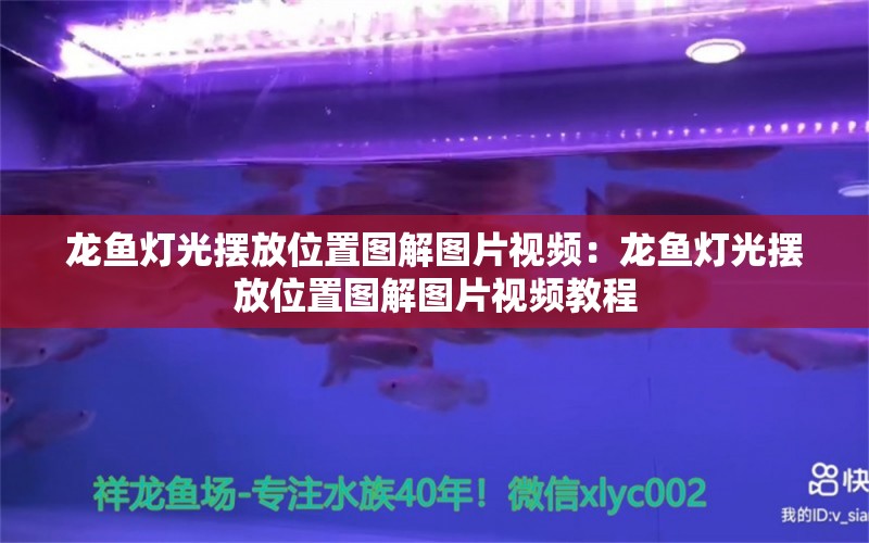 龙鱼灯光摆放位置图解图片视频：龙鱼灯光摆放位置图解图片视频教程