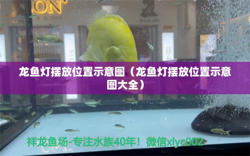 龙鱼灯摆放位置示意图（龙鱼灯摆放位置示意图大全） 祥龙水族医院