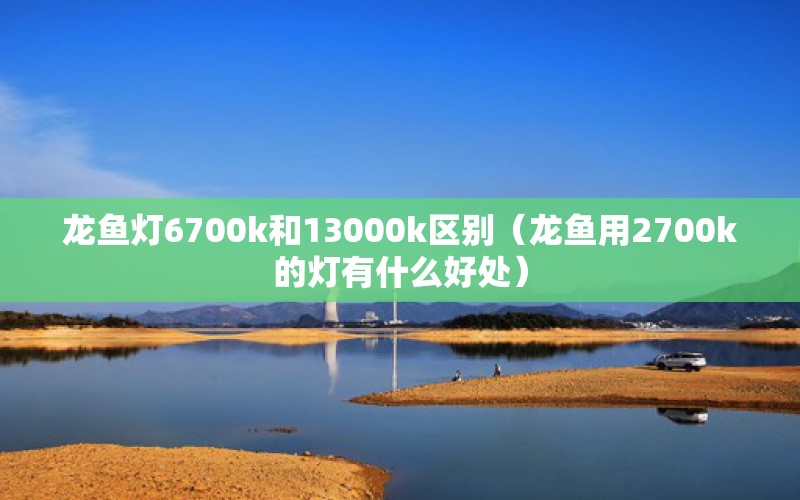 龙鱼灯6700k和13000k区别（龙鱼用2700k的灯有什么好处）