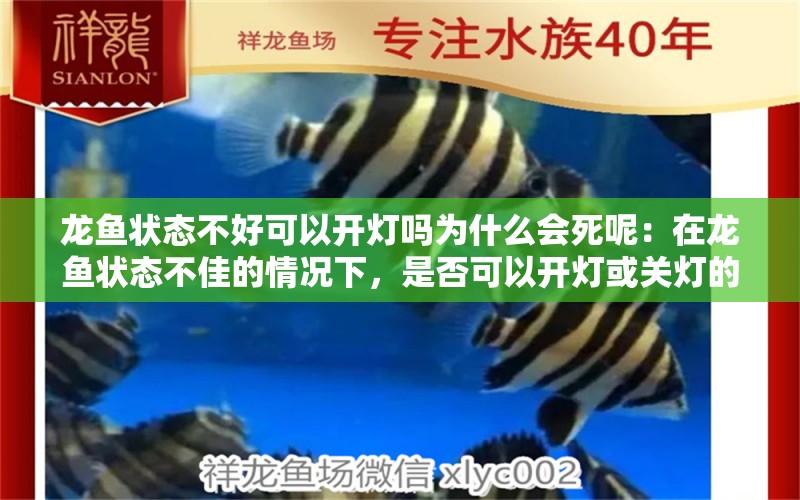 龙鱼状态不好可以开灯吗为什么会死呢：在龙鱼状态不佳的情况下，是否可以开灯或关灯的行为