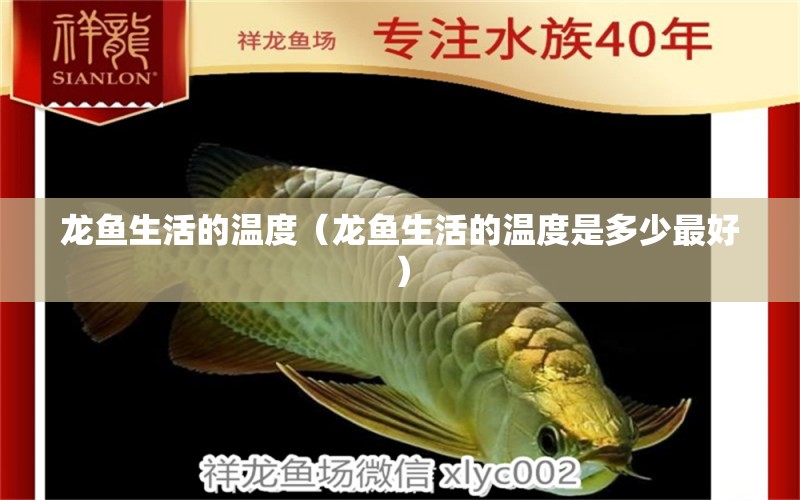 龙鱼生活的温度（龙鱼生活的温度是多少最好） 广州龙鱼批发市场
