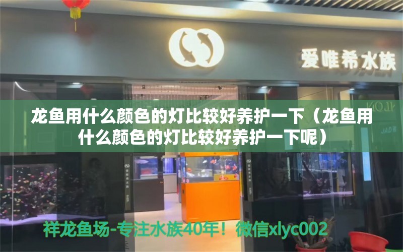 龙鱼用什么颜色的灯比较好养护一下（龙鱼用什么颜色的灯比较好养护一下呢） 广州龙鱼批发市场