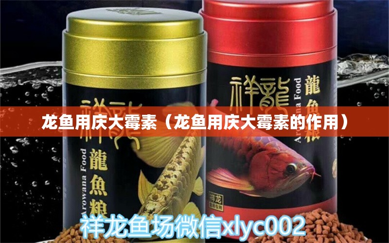 龙鱼用庆大霉素（龙鱼用庆大霉素的作用） 广州龙鱼批发市场