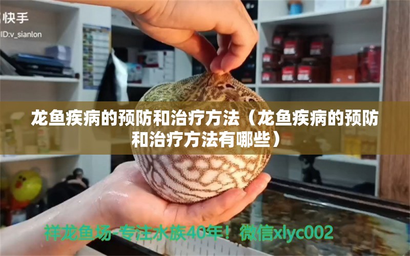 龙鱼疾病的预防和治疗方法（龙鱼疾病的预防和治疗方法有哪些）