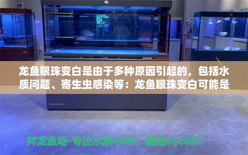 龙鱼眼珠变白是由于多种原因引起的，包括水质问题、寄生虫感染等：龙鱼眼珠变白可能是由于多种原因引起的，龙鱼眼珠白了