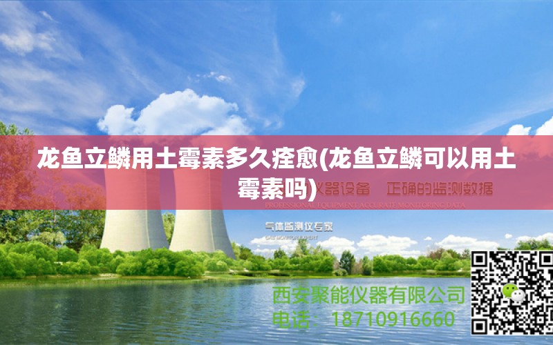 龙鱼立鳞用土霉素多久痊愈(龙鱼立鳞可以用土霉素吗) 2024第28届中国国际宠物水族展览会CIPS（长城宠物展2024 CIPS） 第1张