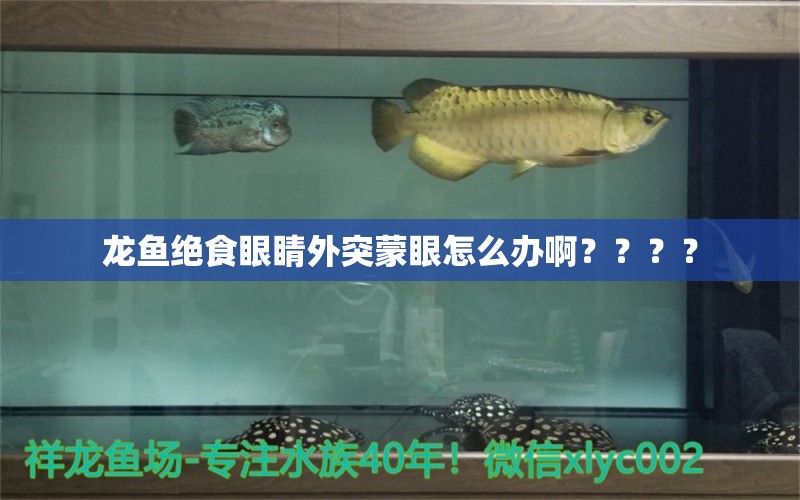 龙鱼绝食眼睛外突蒙眼怎么办啊？？？？