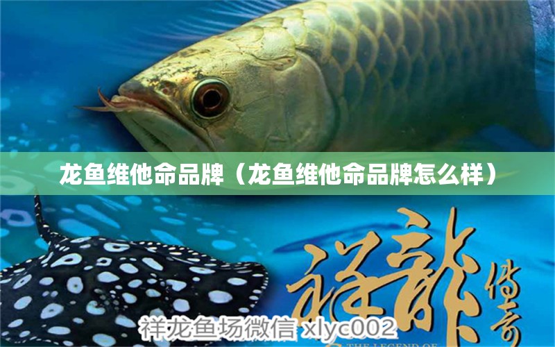 龙鱼维他命品牌（龙鱼维他命品牌怎么样） 祥龙水族医院