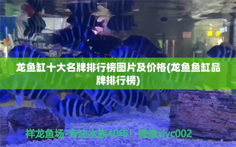 龙鱼缸十大名牌排行榜图片及价格(龙鱼鱼缸品牌排行榜)