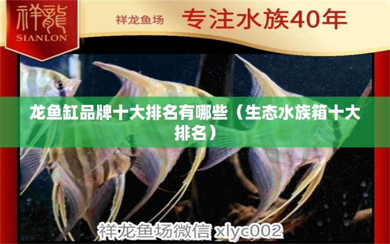 龙鱼缸品牌十大排名有哪些（生态水族箱十大排名）