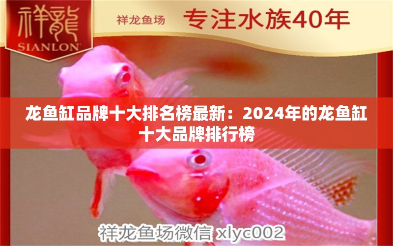 龙鱼缸品牌十大排名榜最新：2024年的龙鱼缸十大品牌排行榜 龙鱼百科 第1张