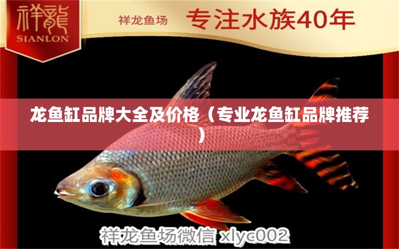 龙鱼缸品牌大全及价格（专业龙鱼缸品牌推荐） 水族维护服务（上门）