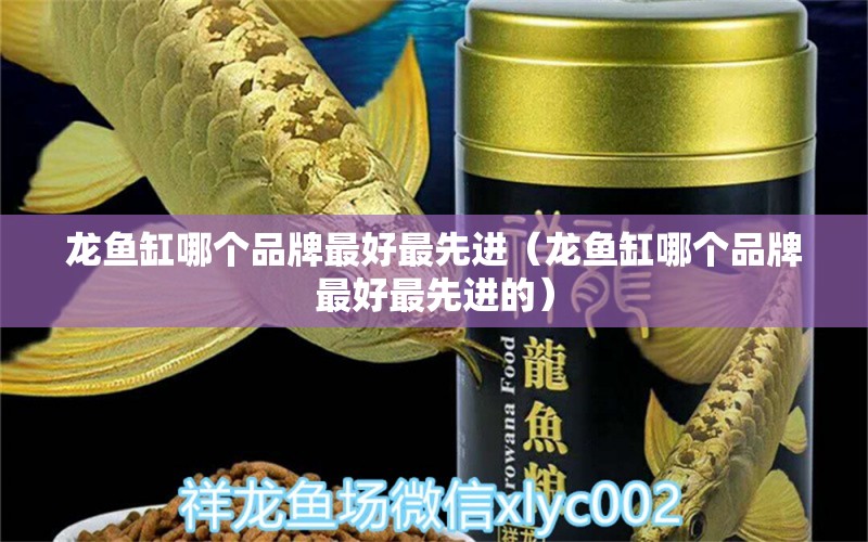 龙鱼缸哪个品牌最好最先进（龙鱼缸哪个品牌最好最先进的） 广州龙鱼批发市场