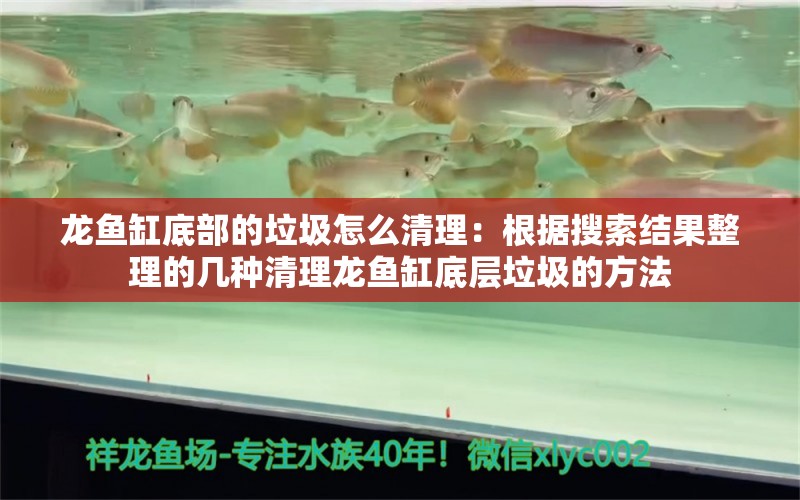 龙鱼缸底部的垃圾怎么清理：根据搜索结果整理的几种清理龙鱼缸底层垃圾的方法 龙鱼百科 第2张