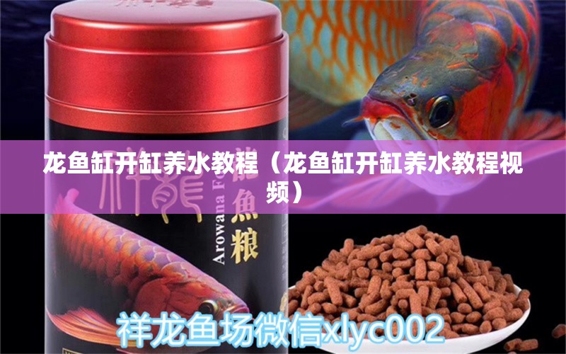 龙鱼缸开缸养水教程（龙鱼缸开缸养水教程视频） 广州龙鱼批发市场