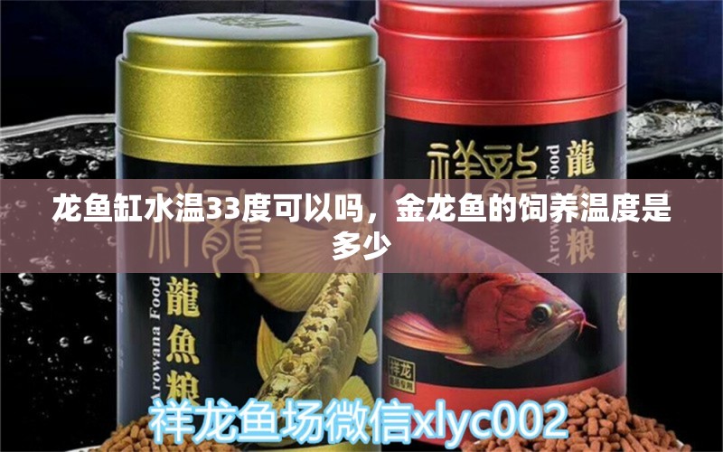 龙鱼缸水温33度可以吗，金龙鱼的饲养温度是多少