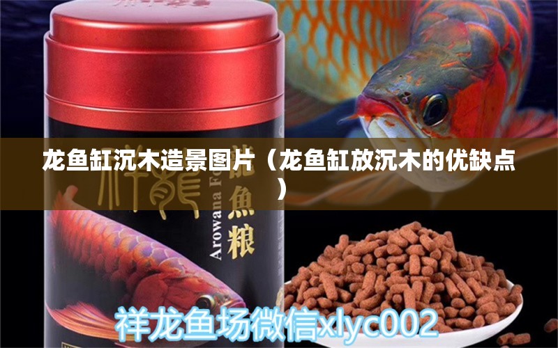 龙鱼缸沉木造景图片（龙鱼缸放沉木的优缺点） 肥料