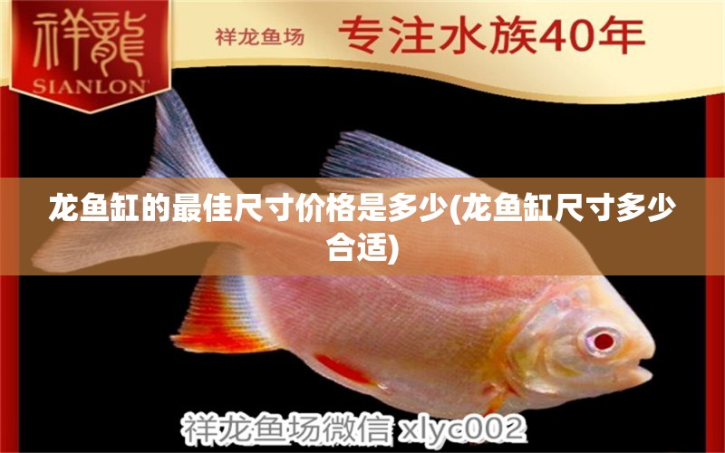 龙鱼缸的最佳尺寸价格是多少(龙鱼缸尺寸多少合适) 广州水族批发市场 第1张