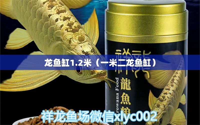 龙鱼缸1.2米（一米二龙鱼缸） 其他品牌鱼缸