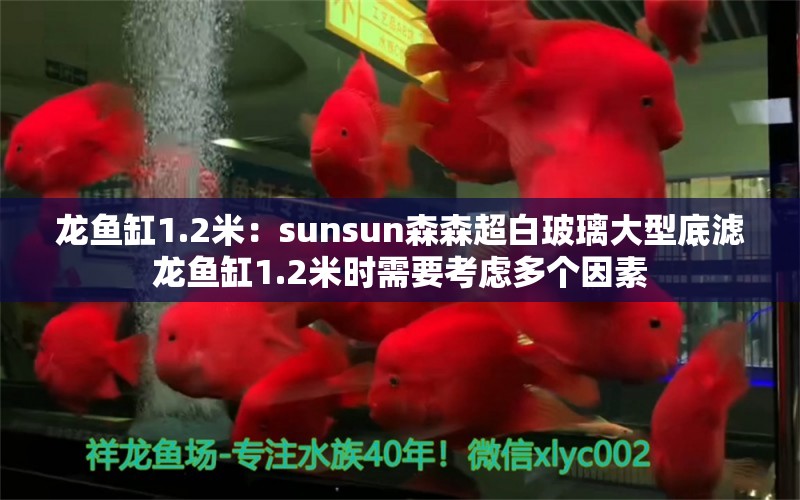 龙鱼缸1.2米：sunsun森森超白玻璃大型底滤龙鱼缸1.2米时需要考虑多个因素