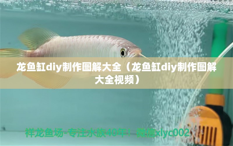 龙鱼缸diy制作图解大全（龙鱼缸diy制作图解大全视频）