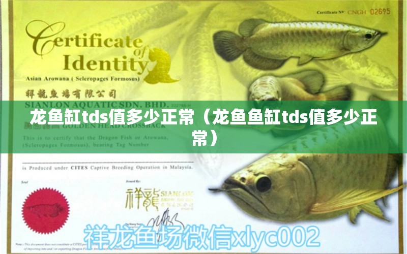 龙鱼缸tds值多少正常（龙鱼鱼缸tds值多少正常） 祥龙水族医院