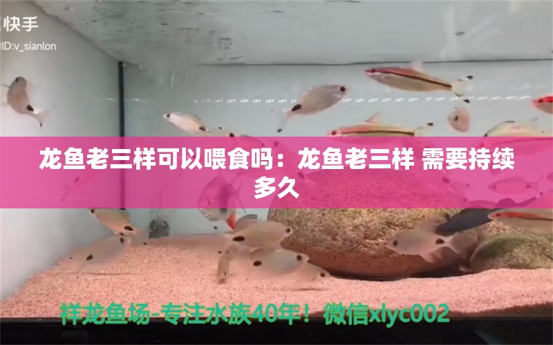 龙鱼老三样可以喂食吗：龙鱼老三样 需要持续多久 祥龙水族医院 第2张