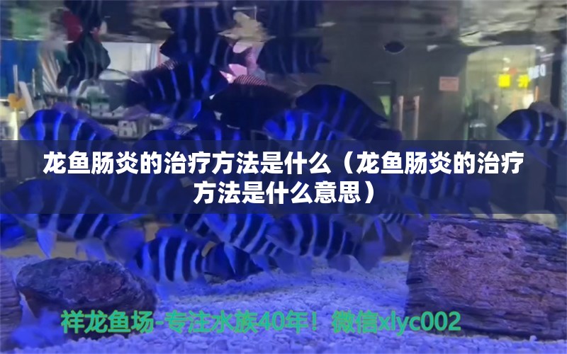 龙鱼肠炎的治疗方法是什么（龙鱼肠炎的治疗方法是什么意思）