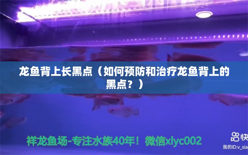 龙鱼背上长黑点（如何预防和治疗龙鱼背上的黑点？） 水族问答 第1张