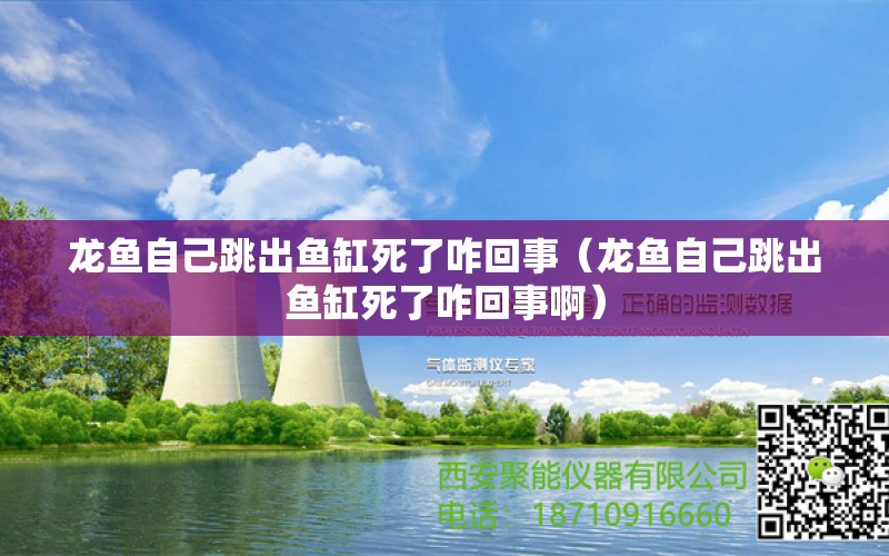 龙鱼自己跳出鱼缸死了咋回事（龙鱼自己跳出鱼缸死了咋回事啊）