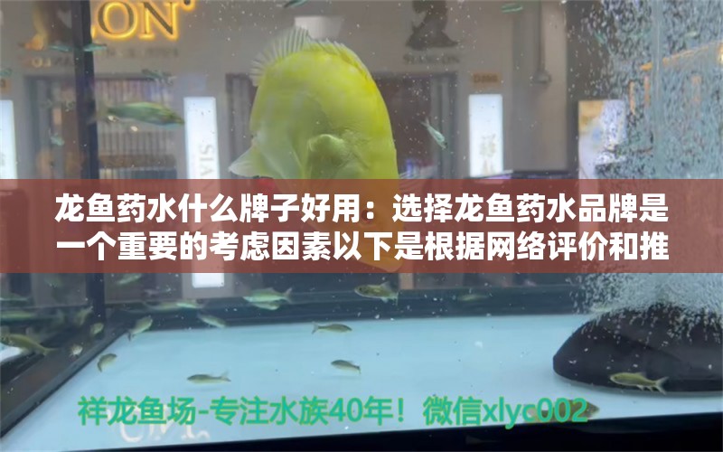 龙鱼药水什么牌子好用：选择龙鱼药水品牌是一个重要的考虑因素以下是根据网络评价和推荐 龙鱼百科 第2张