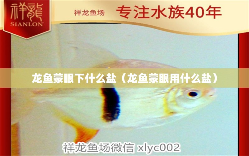 龙鱼蒙眼下什么盐（龙鱼蒙眼用什么盐） 广州龙鱼批发市场