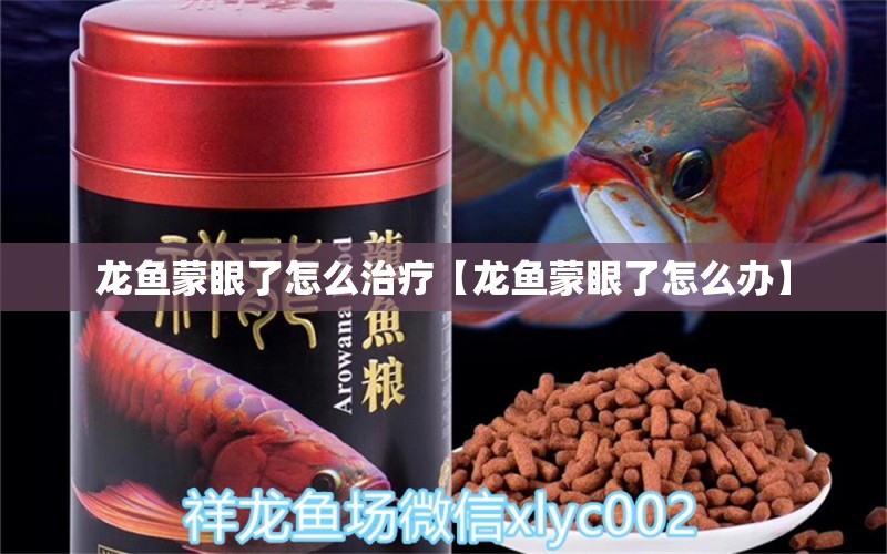 龙鱼蒙眼了怎么治疗【龙鱼蒙眼了怎么办】 水族问答 第1张