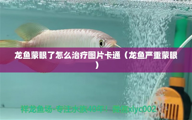 龙鱼蒙眼了怎么治疗图片卡通（龙鱼严重蒙眼）