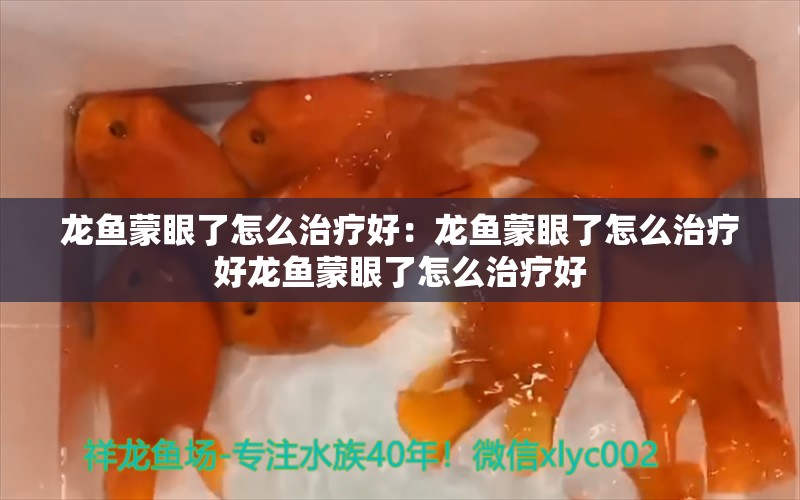 龙鱼蒙眼了怎么治疗好：龙鱼蒙眼了怎么治疗好龙鱼蒙眼了怎么治疗好