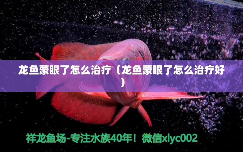 龙鱼蒙眼了怎么治疗（龙鱼蒙眼了怎么治疗好）