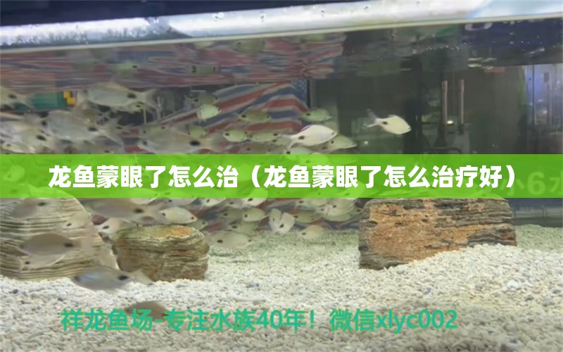 龙鱼蒙眼了怎么治（龙鱼蒙眼了怎么治疗好） 广州龙鱼批发市场