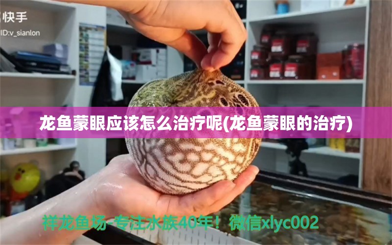 龙鱼蒙眼应该怎么治疗呢(龙鱼蒙眼的治疗)