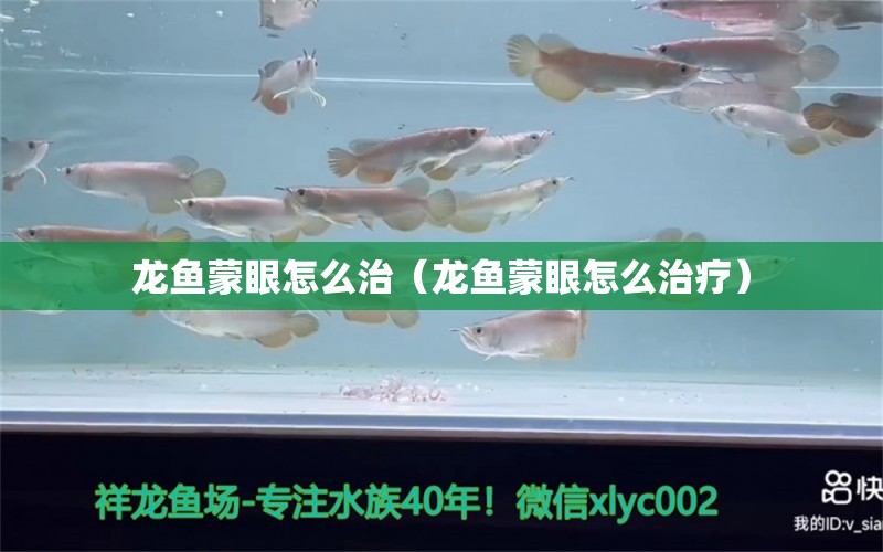 龙鱼蒙眼怎么治（龙鱼蒙眼怎么治疗）