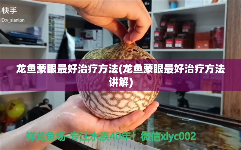 龙鱼蒙眼最好治疗方法(龙鱼蒙眼最好治疗方法讲解)