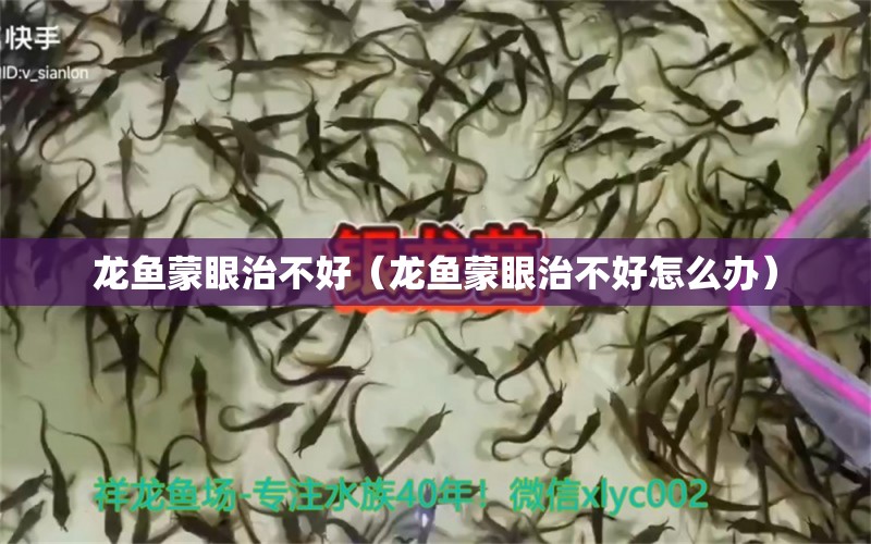 龙鱼蒙眼治不好（龙鱼蒙眼治不好怎么办）