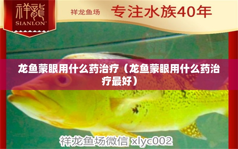 龙鱼蒙眼用什么药治疗（龙鱼蒙眼用什么药治疗最好） 观赏鱼